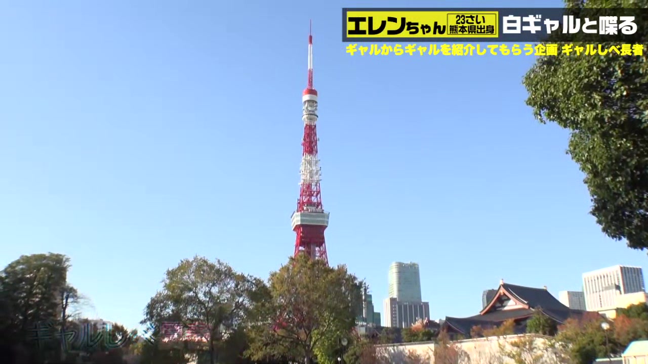 0005703_フェラ 突き上げ騎乗位 ずらしハメなどが含まれている