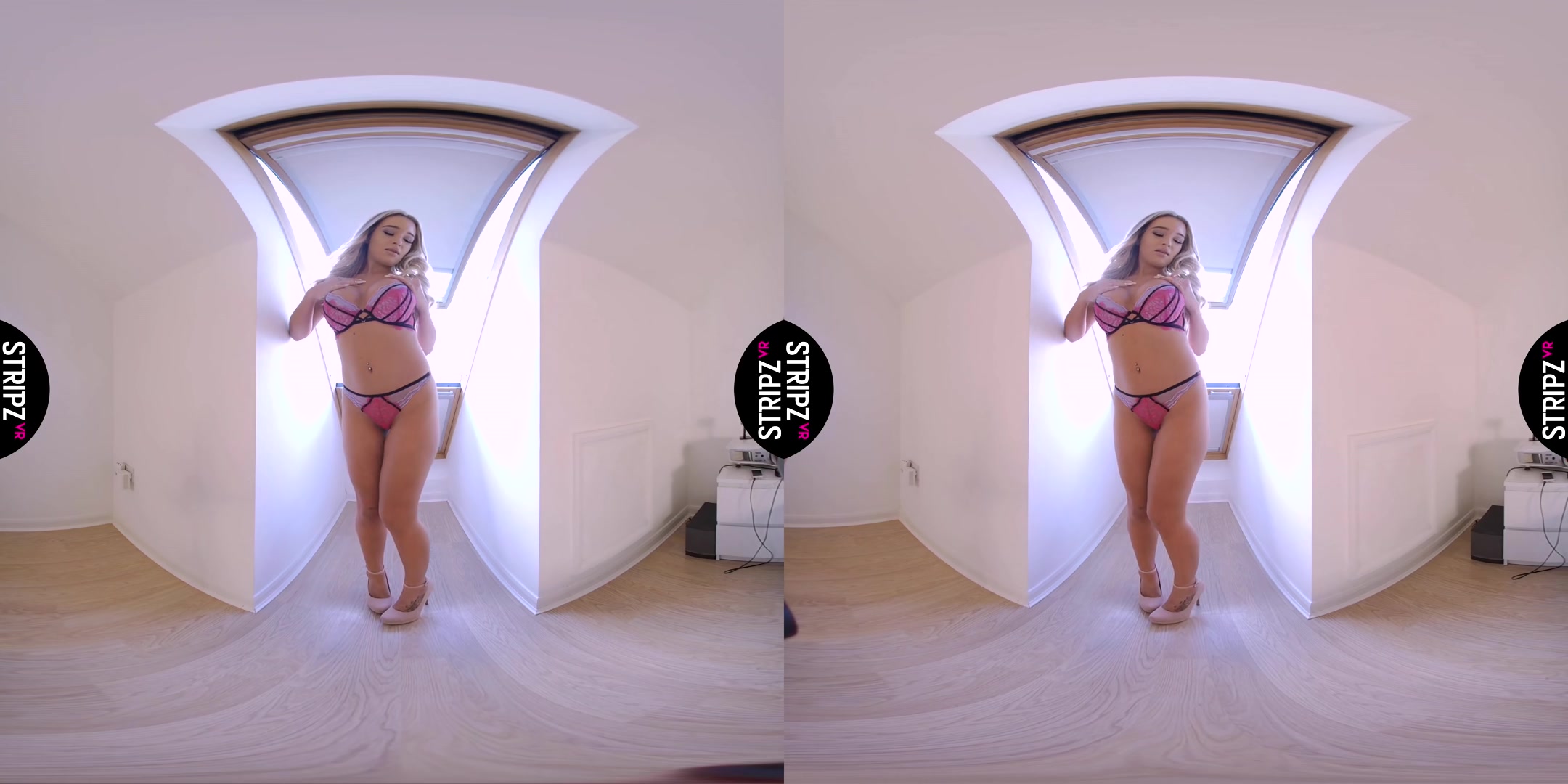 Room With a View - StripzVR