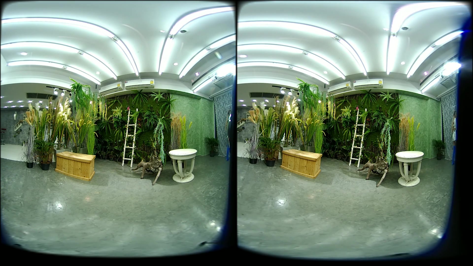 2 Girls With Long Cast Leg Visit A Flower Store 2 - VRPussyVision