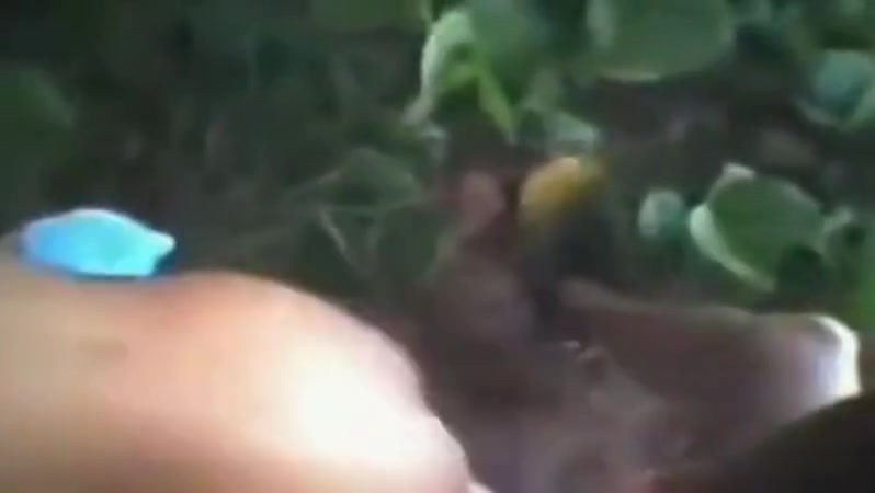 Indian girlfriend fucked at outdoor