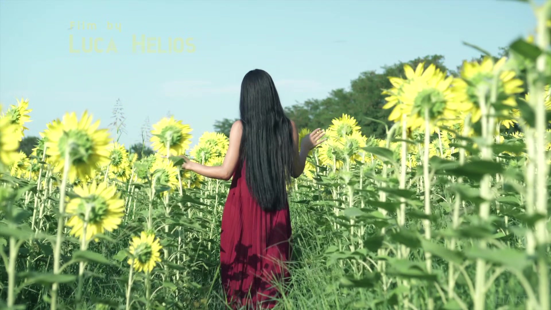 Sunflower - Kimiko - Met-Art