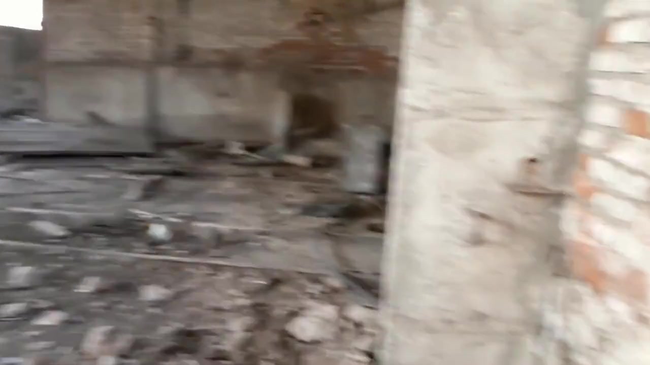 ⭐fucking A Girl In An Abandoned Building