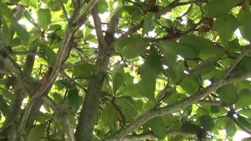 teenagers 18+ In Patagonia Bareback Fuck