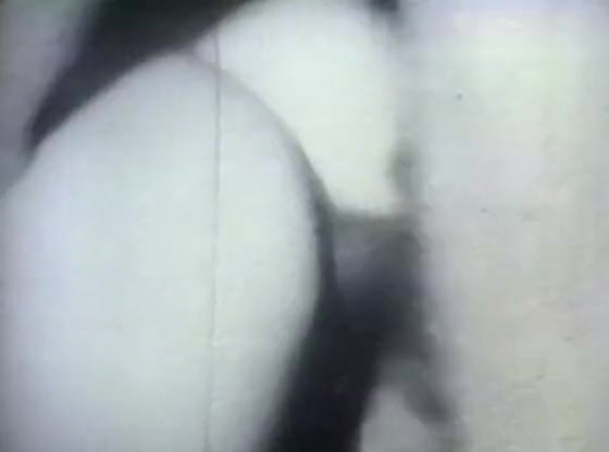 Retro Porn Archive Video: Golden Age Erotica 04 01