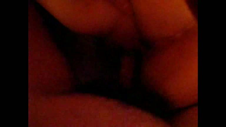 Hairy dick enters hairy pussy in the amateur video