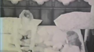 Softcore Loops 609 60's and 70's - Scene 7