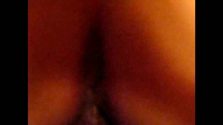 Hairy dick enters hairy pussy in the amateur video