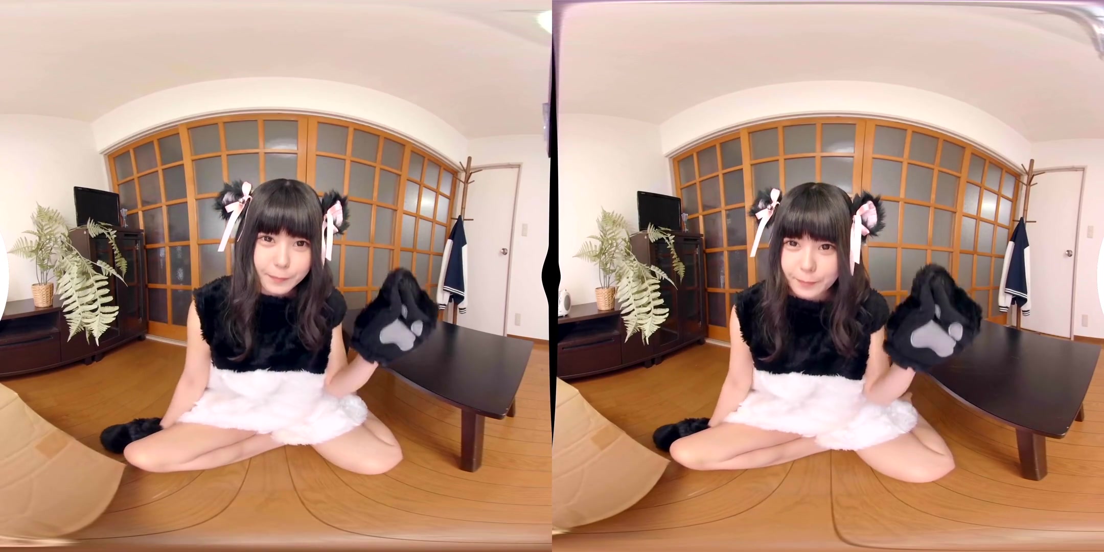 Mayo Usamimi Human Panda - FANTASTICA