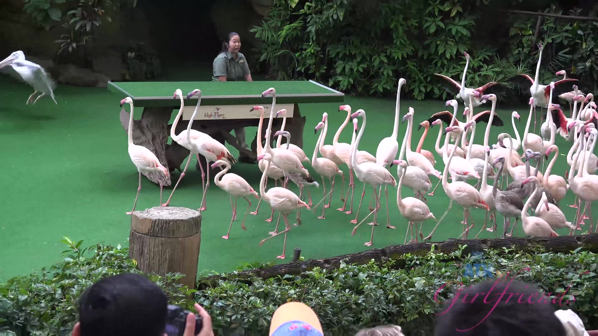 Virtual Vacation In Singapore With Emma Evins Part 3