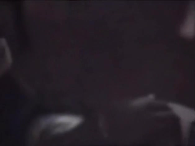 Indian pair has hot sex captured through the window camera