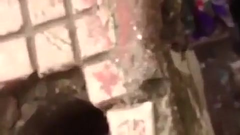 Surat pair underneath bridge sex free porn pictures