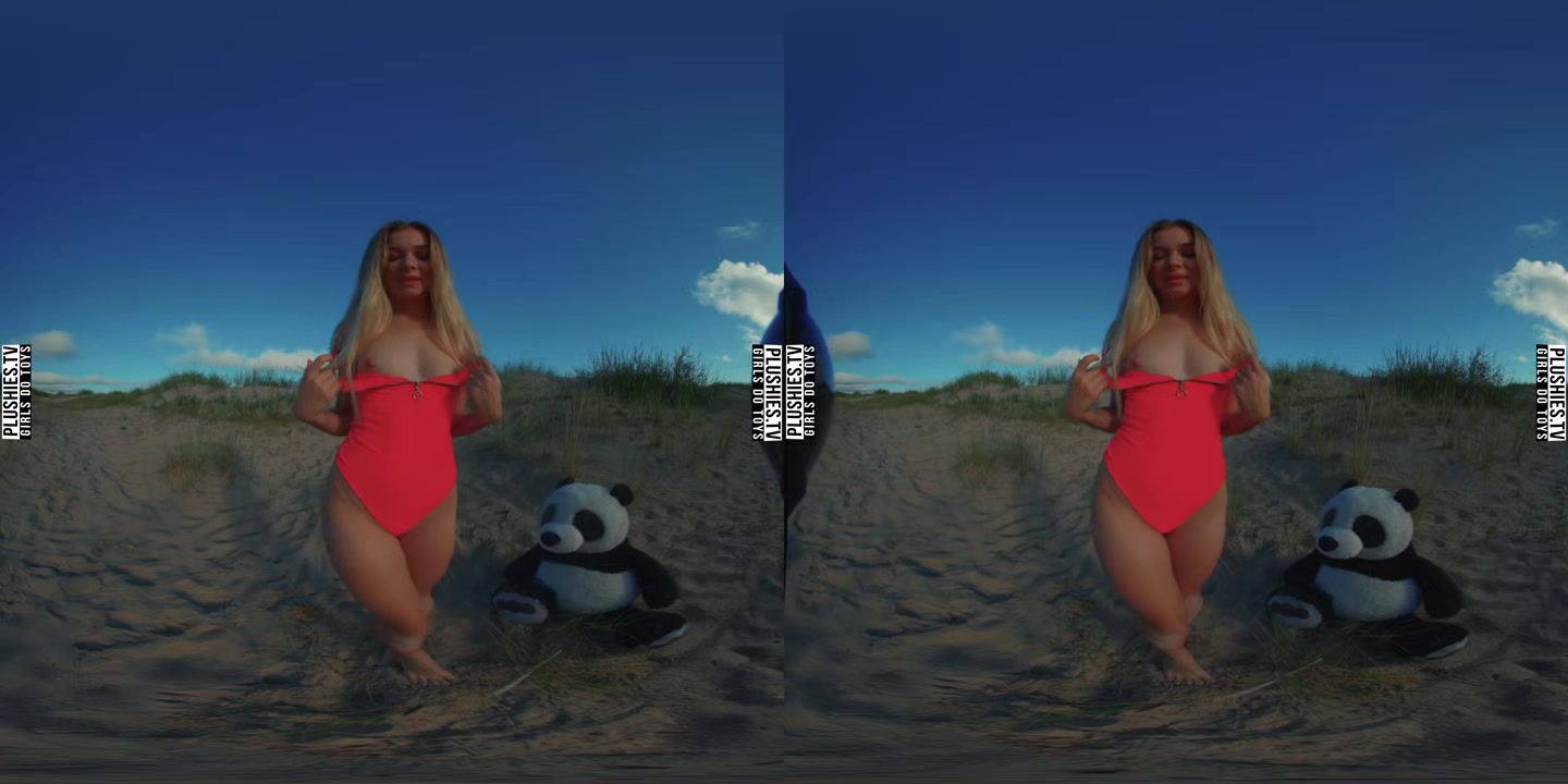 Beach Day In Poland - PlushiesVR