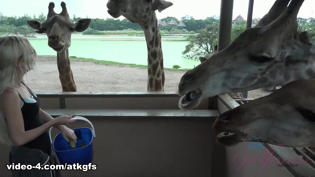 Piper Perri in Piper feeds lots of animals at Safari World - ATKGirlfriends