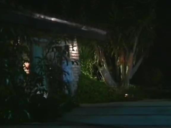 Sarah Jane Hamilton, Mike Horner, Sandra Margot in vintage fuck scene