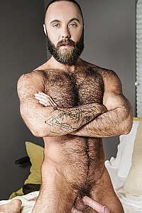 Teddy Bear