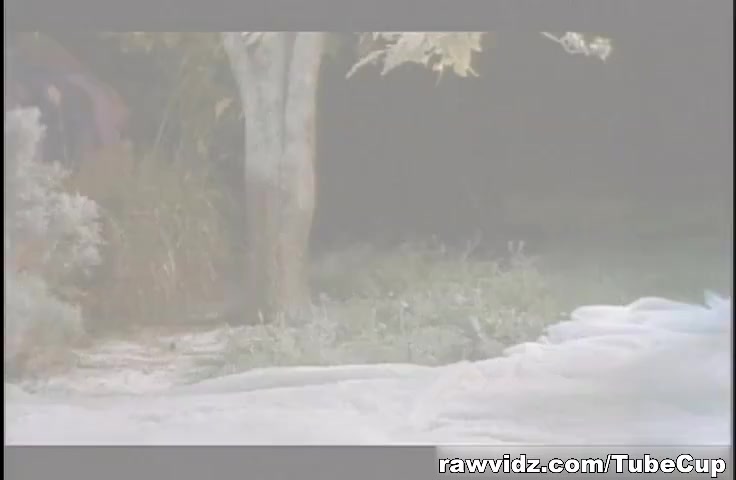 RawVidz Video: Busty Blondes In Wild Threeway Session