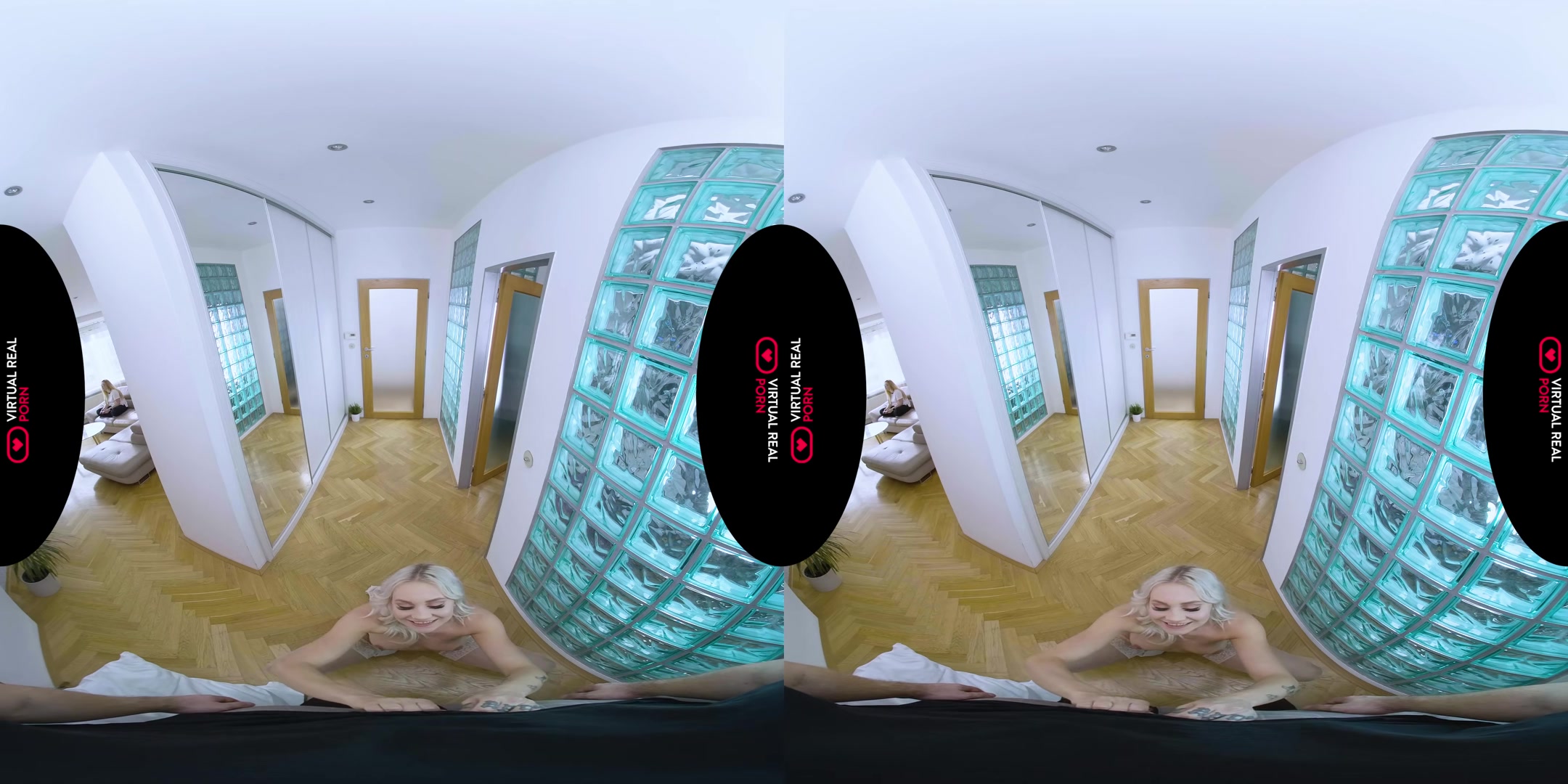 The Roommate - VirtualRealPorn