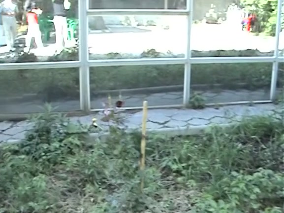 Hottie screwed in washroom