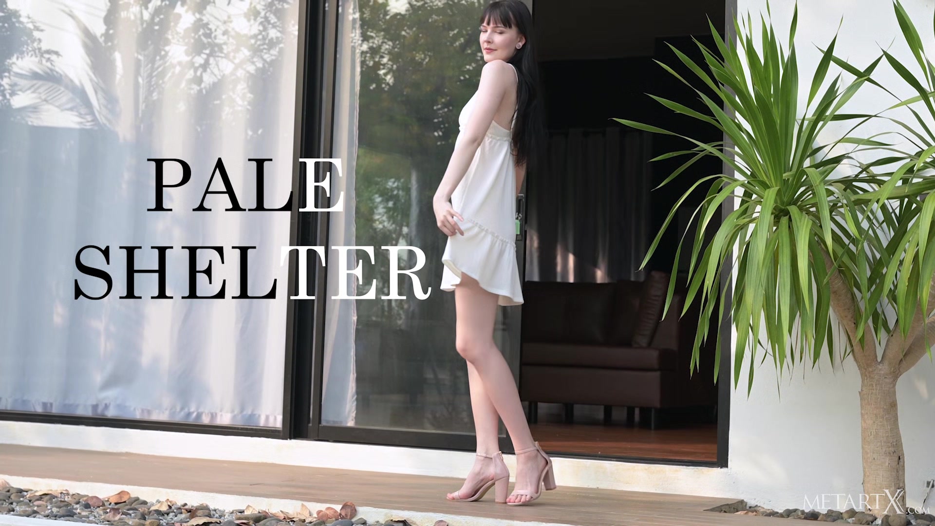 Pale Shelter 2 - Amelia Riven