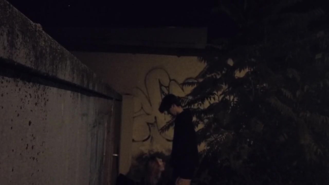 Risky Outdoor Fuck On Our Way Home