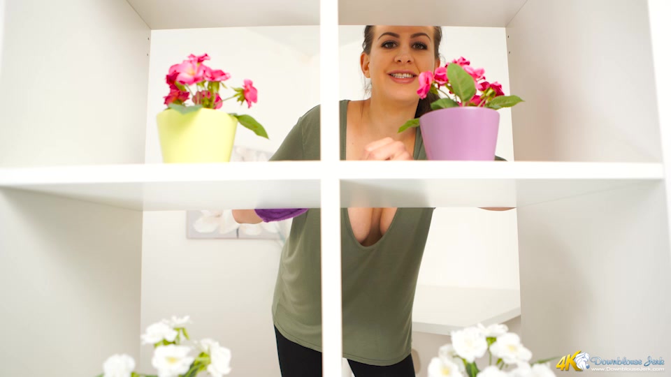 Top Shelf Titties - DownblouseJerk