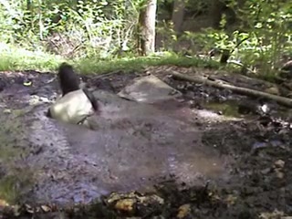 mud shower dress