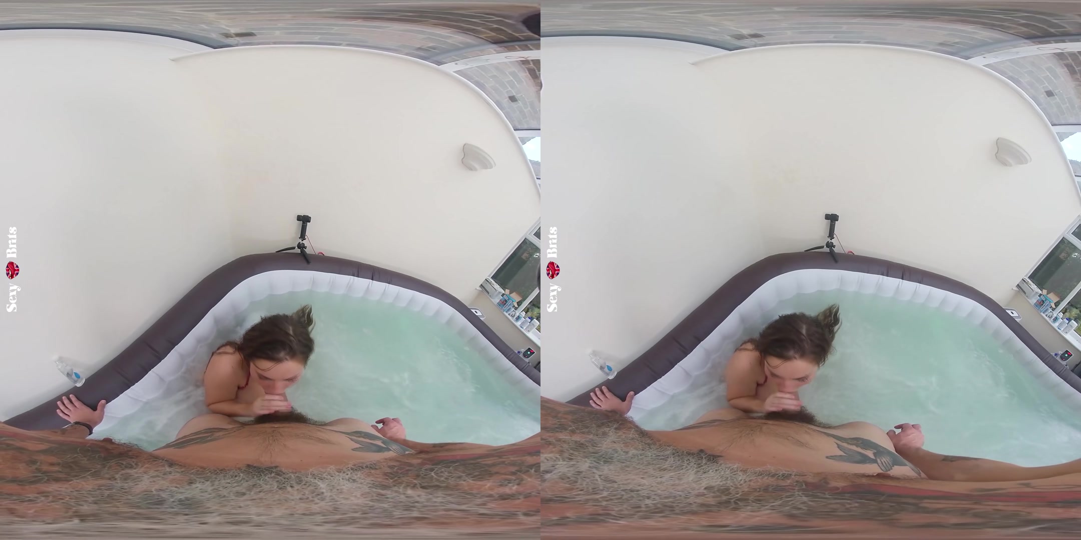 How to Bathe Your Aussie I - perVRt