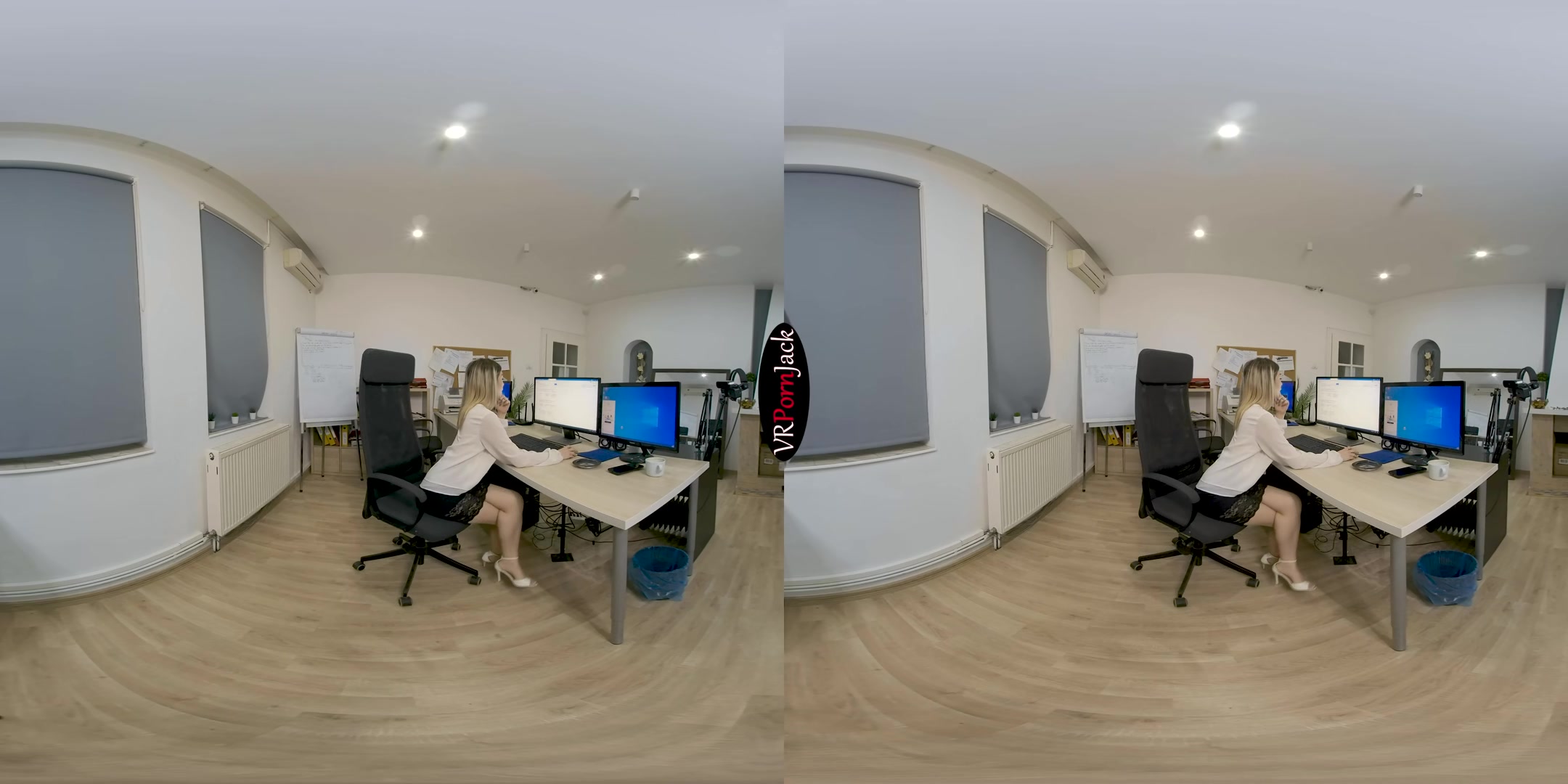 At the Office - Blackmailing My Secretary - VRpornjack
