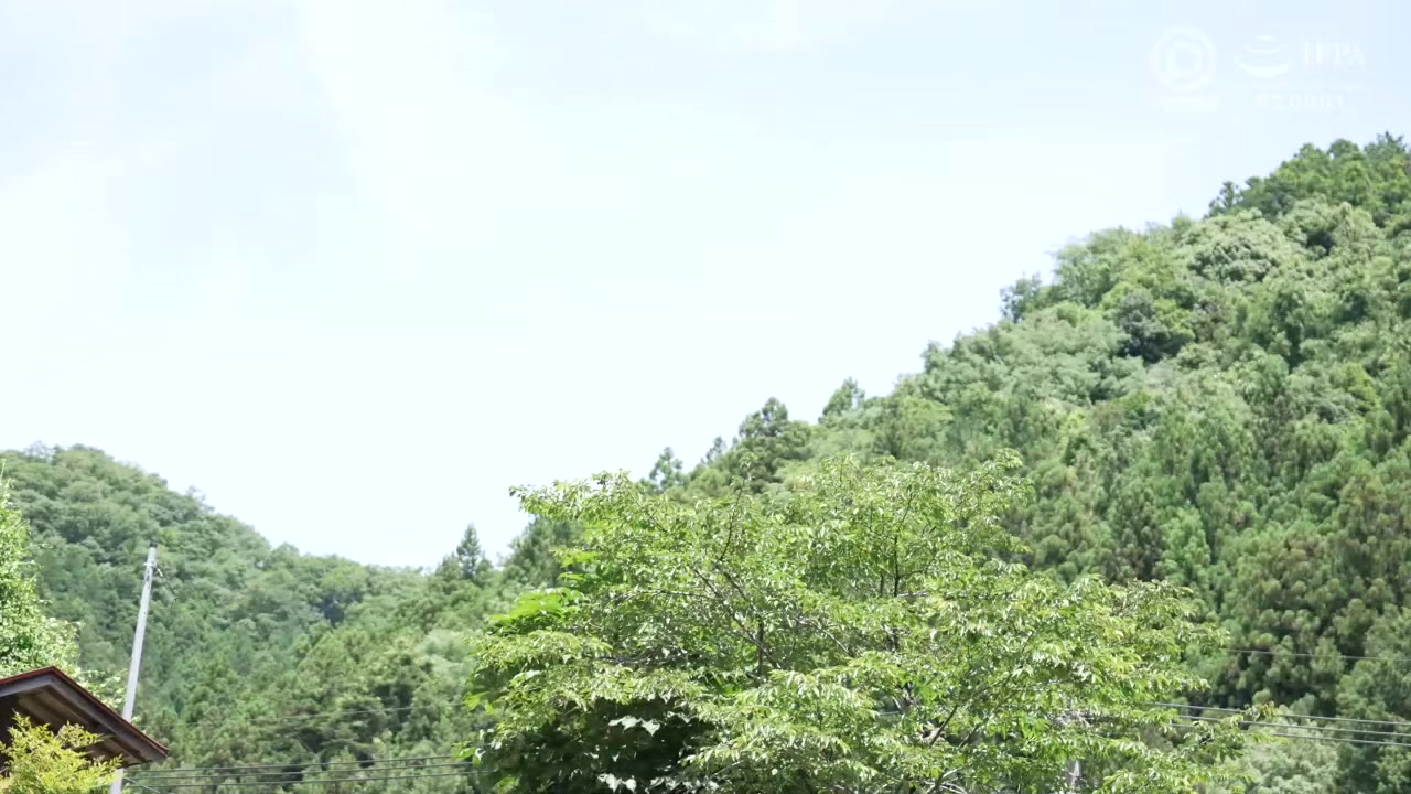 0006307_ホットパンツ 短パン 乳揺れ正常位などが含まれている