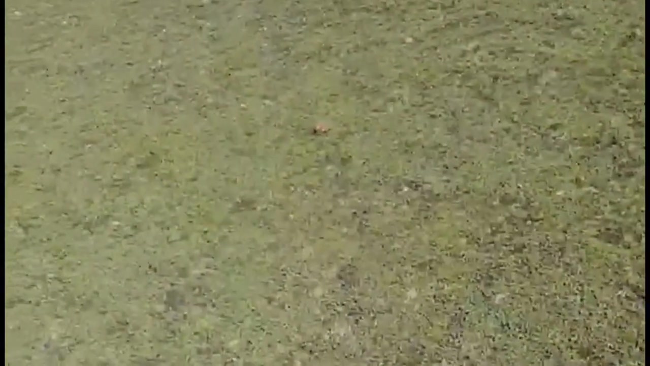 Una Jovencita Culona Reportera En Montana 6 Min