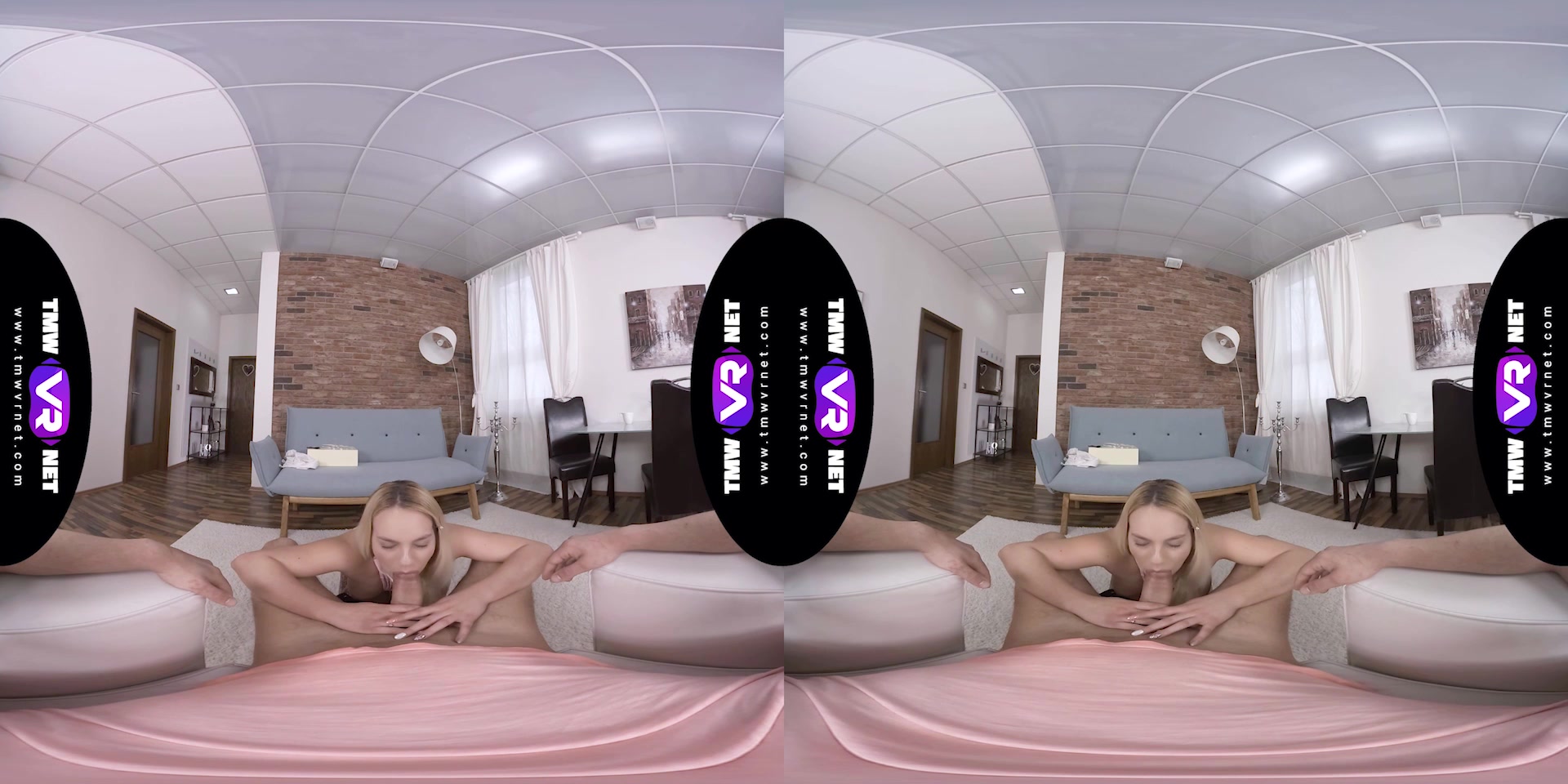 Blowjob for a new dildo - TmwVRnet