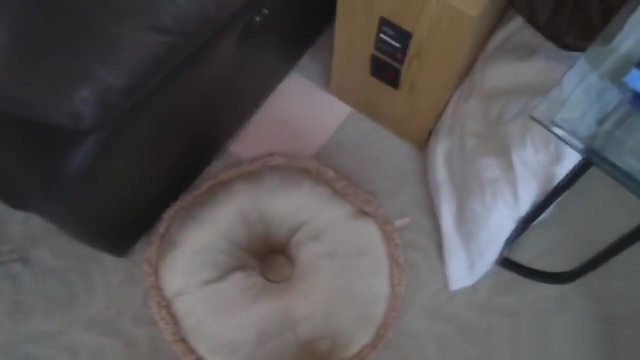 POV blowjob and deepthroat with hot stepsister Kat Arina