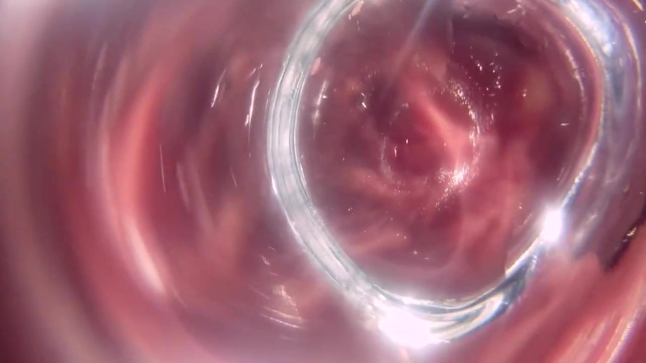 Glass Butt Plug Inside Look V2