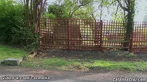 Licensed To Blow #2047 - Fantasy Girl Carmella