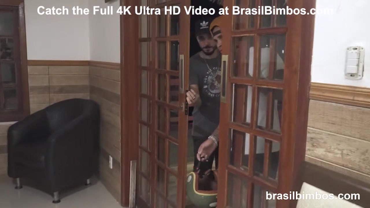 They Came they Conquered - Brasilbimbos