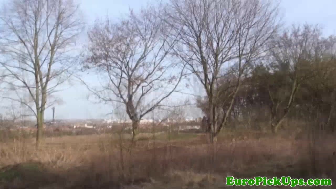 Pickedup euro cocksucking pov before fucking