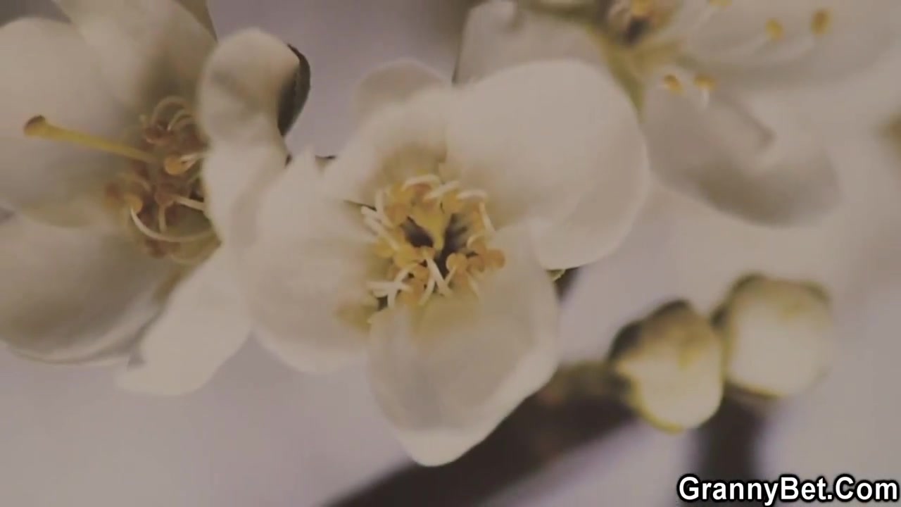 Old Tourist Granny Picked Up And Fucked By Kinky Boy