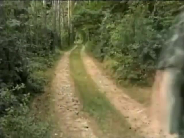 Sex Kadetten
