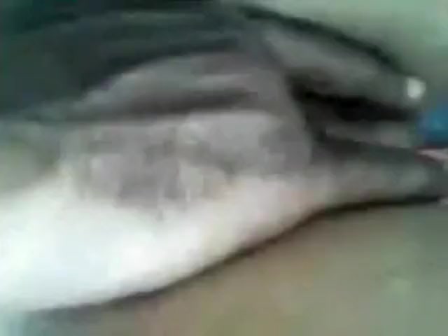 Crazy amateur POV, Indian xxx video