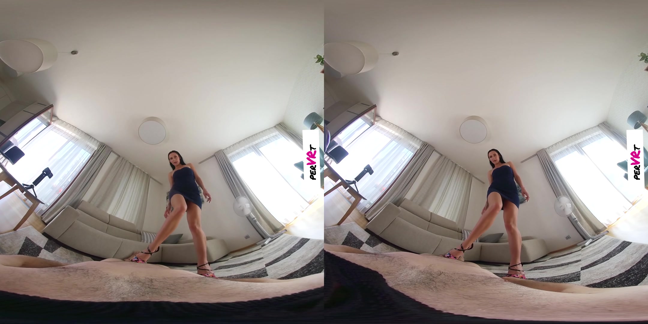 Face Sitting - perVRt