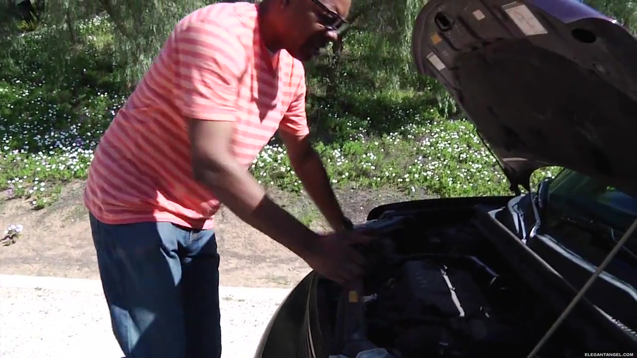 Sexy MILF Nikki Sexx fucks her hot black neighbor