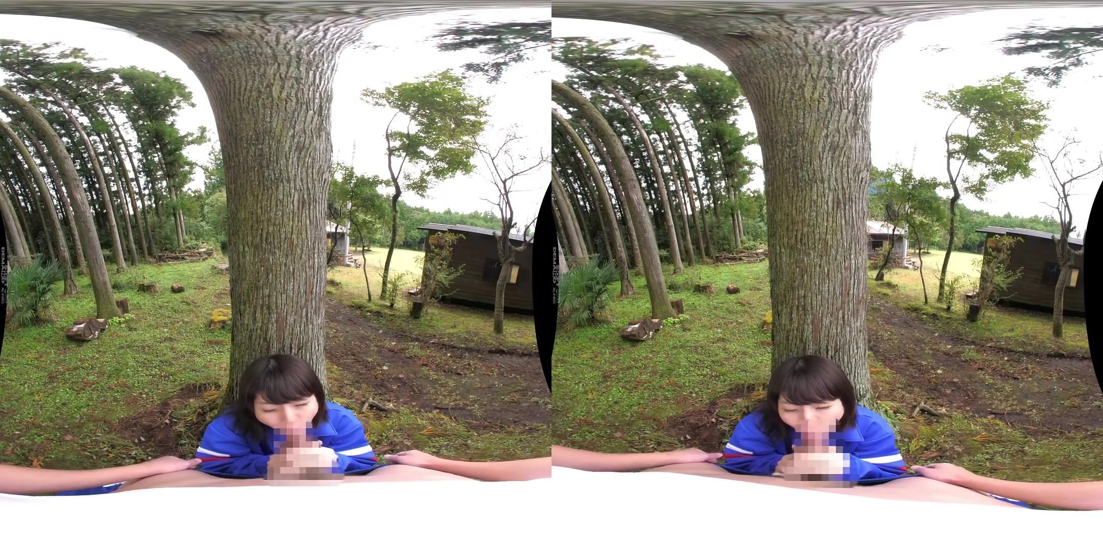 Rio Ishihara - Outdoor Fucking at a School in the Woods: Two Classmates Show Each Other their Private Parts - SodCreate