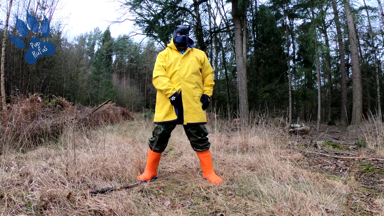 Raingear Pup Wanking Outdoors During Sunday Walkies nearly Got Caught