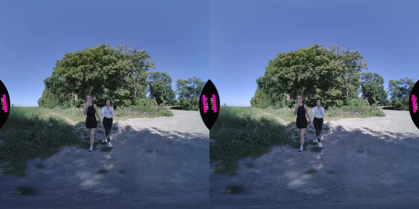Blowjob In The Car With Hitchhikers