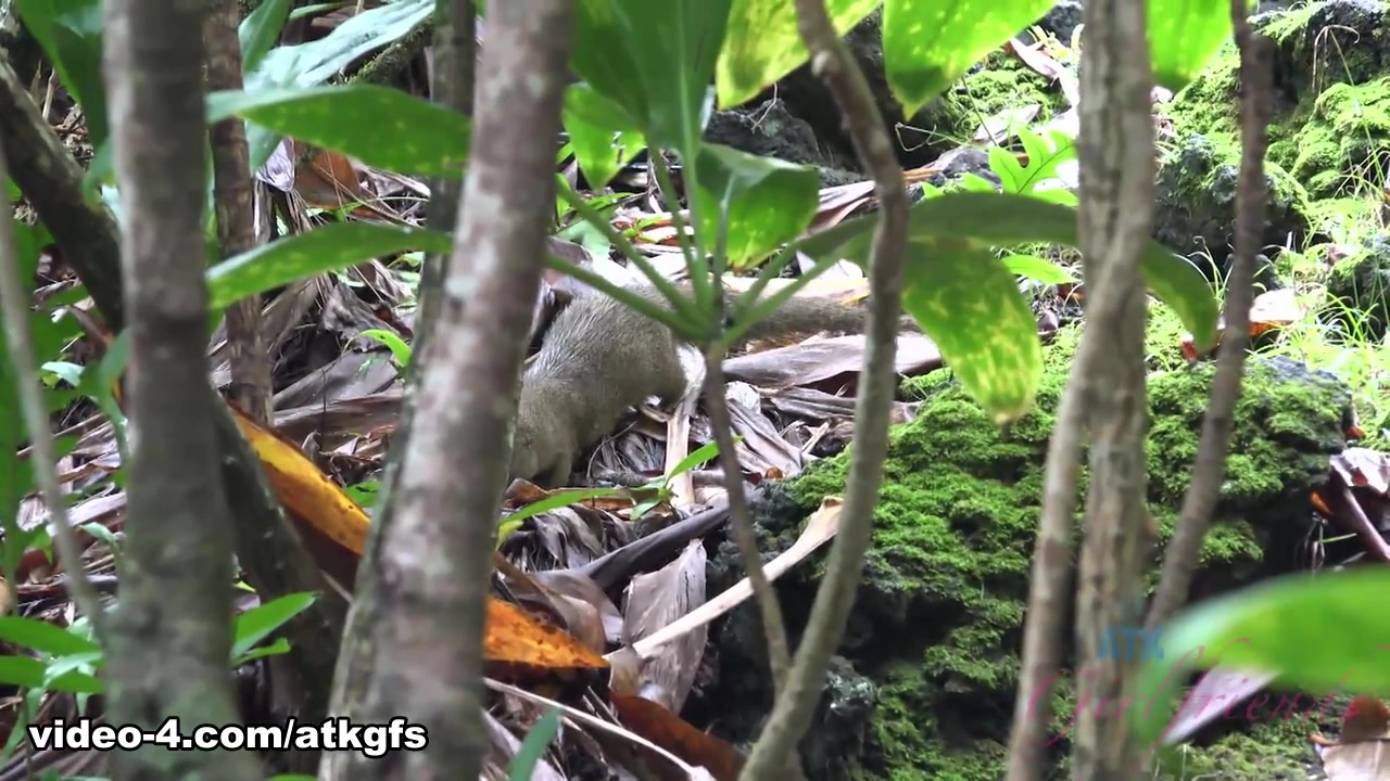 Emma Hix in Emma flashes you on the road to Hana - ATKGirlfriends
