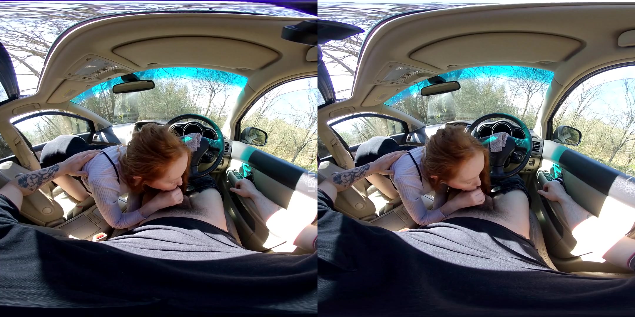 Sucking Dick on a Sunday Drive