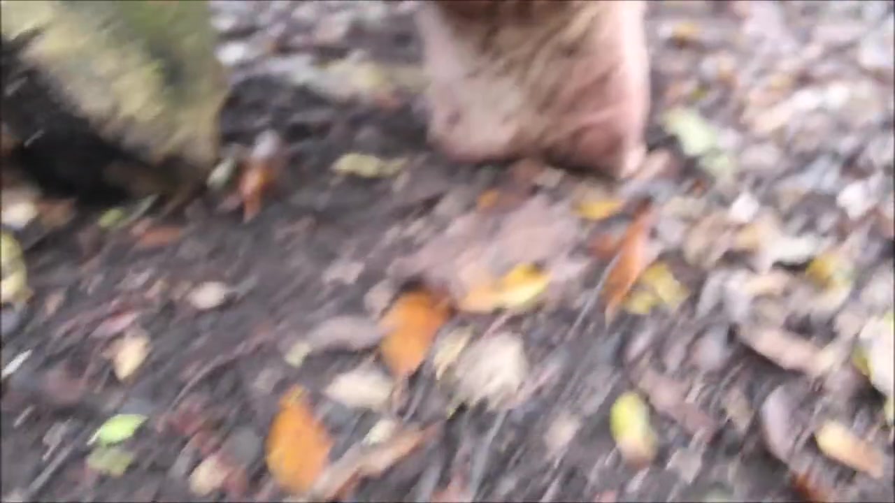 Tarzans Park 2 giant Nature Feet Masturbation Pov