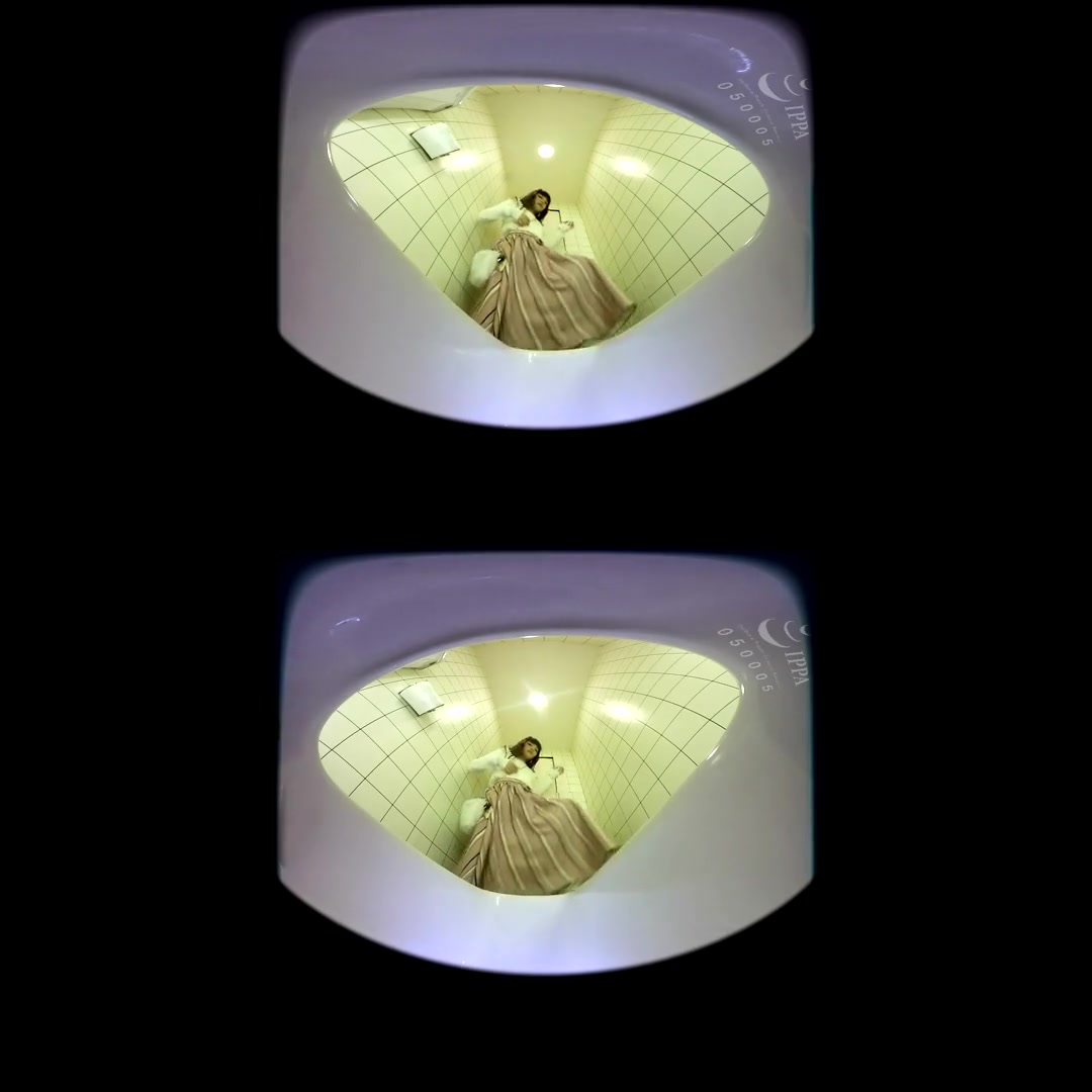 Public Toilet Urination - PetersPrimoVR