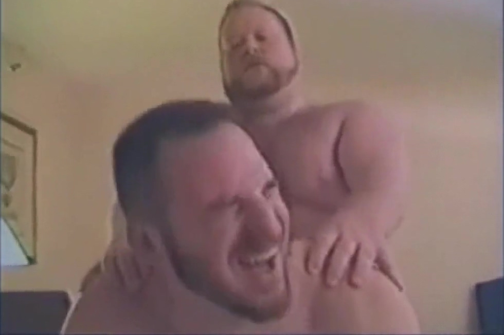 A Chubby Bear & Chunky Cub Have Some Fun