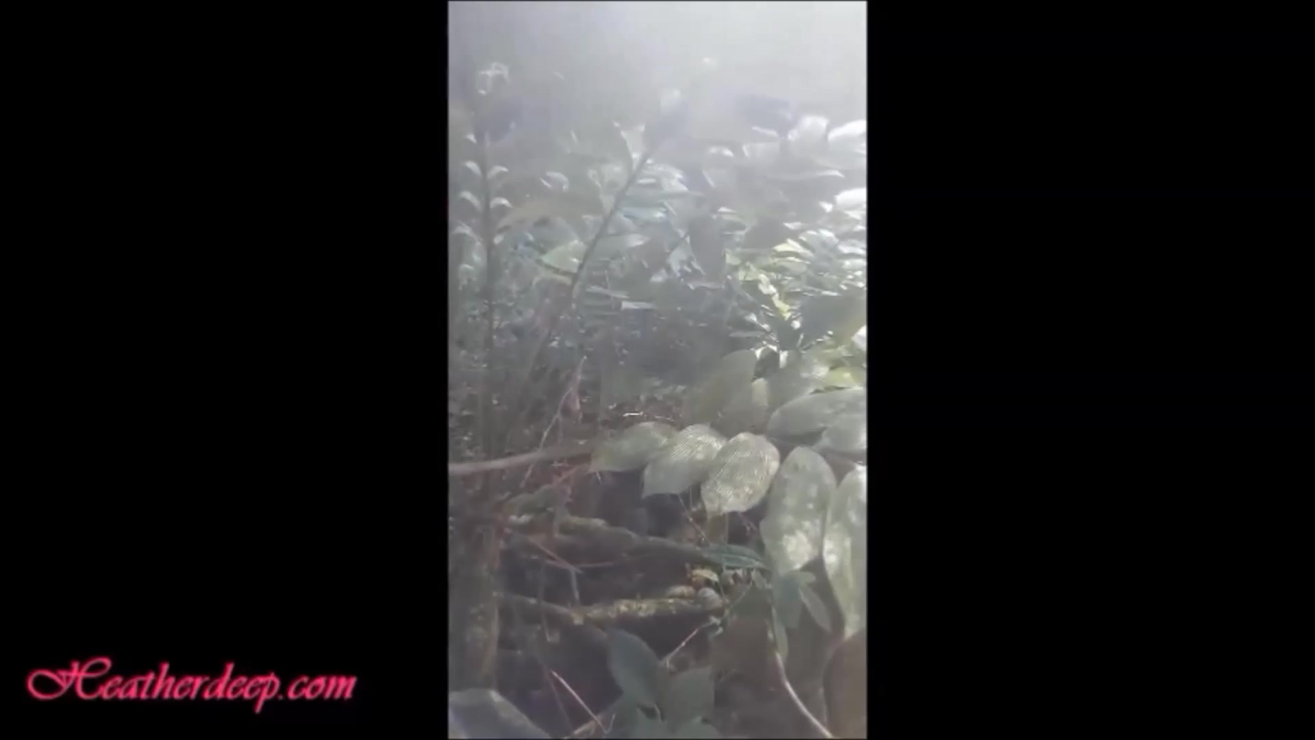 HD Heather deep get naked deepthroat big cock and creampie in the jungle